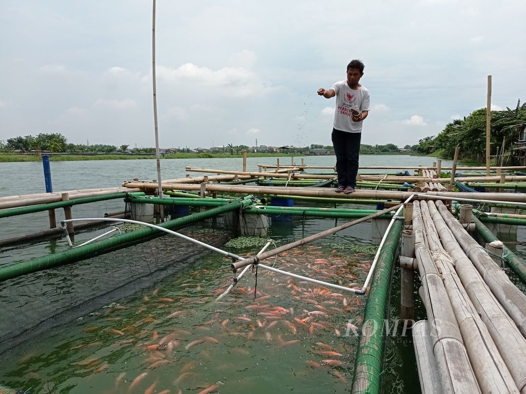 https://assetd.kompas.id/Ybvl5voiY7HFvt8lxOIugFpzQZk=/1024x768/filters:watermark(https://cdn-content.kompas.id/umum/kompas_main_logo.png,-16p,-13p,0)/https%3A%2F%2Fkompas.id%2Fwp-content%2Fuploads%2F2021%2F09%2F149fb560-e6ae-4eb9-b14a-06baf6048d8c_jpg.jpg