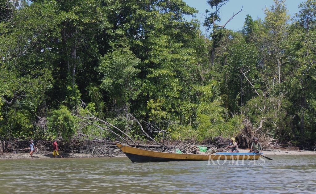 Masyarakat adat suku Yaben mencari kayu bakar di muara Sungai Kaibus di Distrik Konda, Kabupaten Sorong Selatan, Papua Barat Daya, Kamis (27/7/2023). 