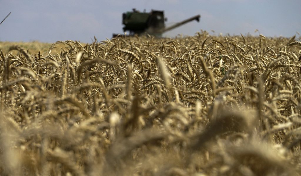 Panen gandum berlangsung di ladang dekat Novoazovsk, di luar Mariupol, Ukraina, di tengah operasi militer Rusia, 31 Juli 2022. Perang di Ukraina mengganggu pasokan bahan pangan yang memicu inflasi.