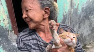 Mengapa Kucing Oren Dicap Nakal oleh Manusia?