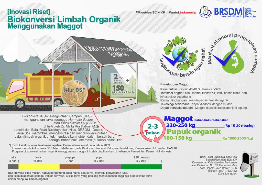 https://assetd.kompas.id/_SGEHXu6rm2xQLgWgISYhVMmTMQ=/1024x723/https%3A%2F%2Fasset.kgnewsroom.com%2Fphoto%2Fpre%2F2021%2F11%2F23%2F151062e1-a0b5-41db-8e8a-a7720379025b_jpg.jpg