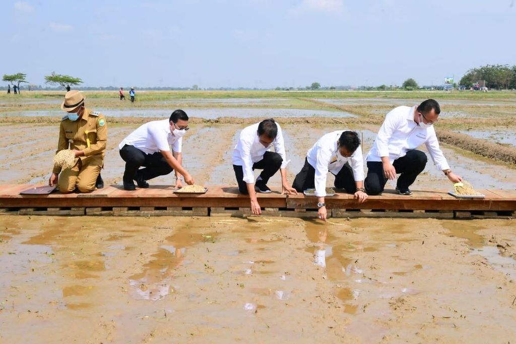 Presiden Joko Widodo dan Menteri Pertanian Syahrul Yasin Limpo (ketiga dari kanan) mencoba menanam padi di sawah Balai Besar Penelitian Tanaman Padi, Kabupaten Subang, Selasa (12/7/2022).