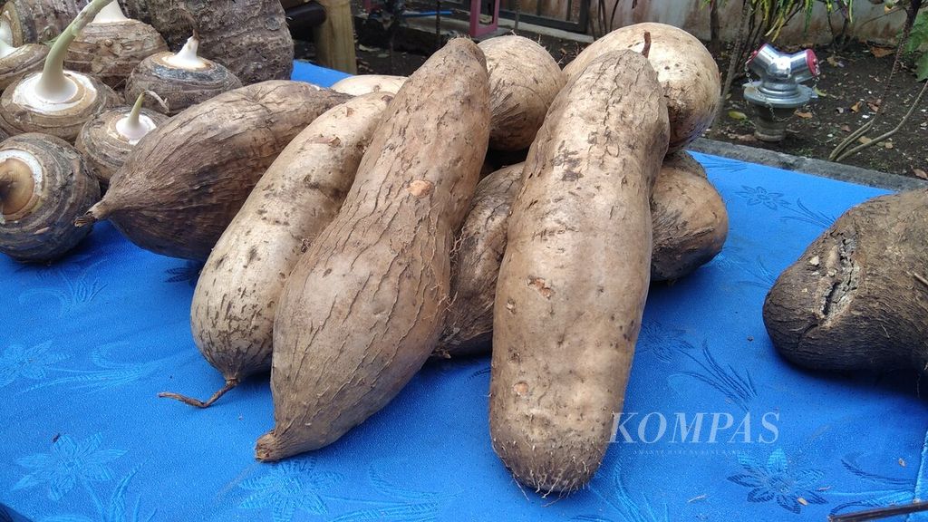 https://assetd.kompas.id/_aAiAVC1XOV_aLxlWMbmciIlRHM=/1024x576/filters:watermark(https://cdn-content.kompas.id/umum/kompas_main_logo.png,-16p,-13p,0)/https%3A%2F%2Fkompas.id%2Fwp-content%2Fuploads%2F2020%2F08%2F3f6fbebe-24e7-4d6c-9c67-a7f8f40580af_jpg.jpg