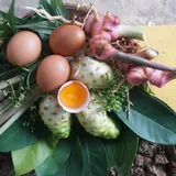 Telur Herbal, Wujud Perjuangan Peternak Ayam Lepas dari Antibiotik