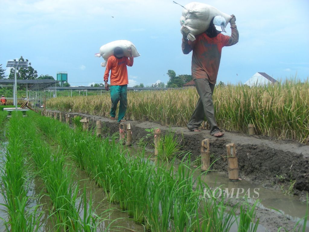 https://assetd.kompas.id/akZhP1R1tkdDSKbrQP5aKKnXQhY=/1024x768/filters:watermark(https://cdn-content.kompas.id/umum/kompas_main_logo.png,-16p,-13p,0)/https%3A%2F%2Fkompas.id%2Fwp-content%2Fuploads%2F2018%2F04%2F20171124acih.jpg
