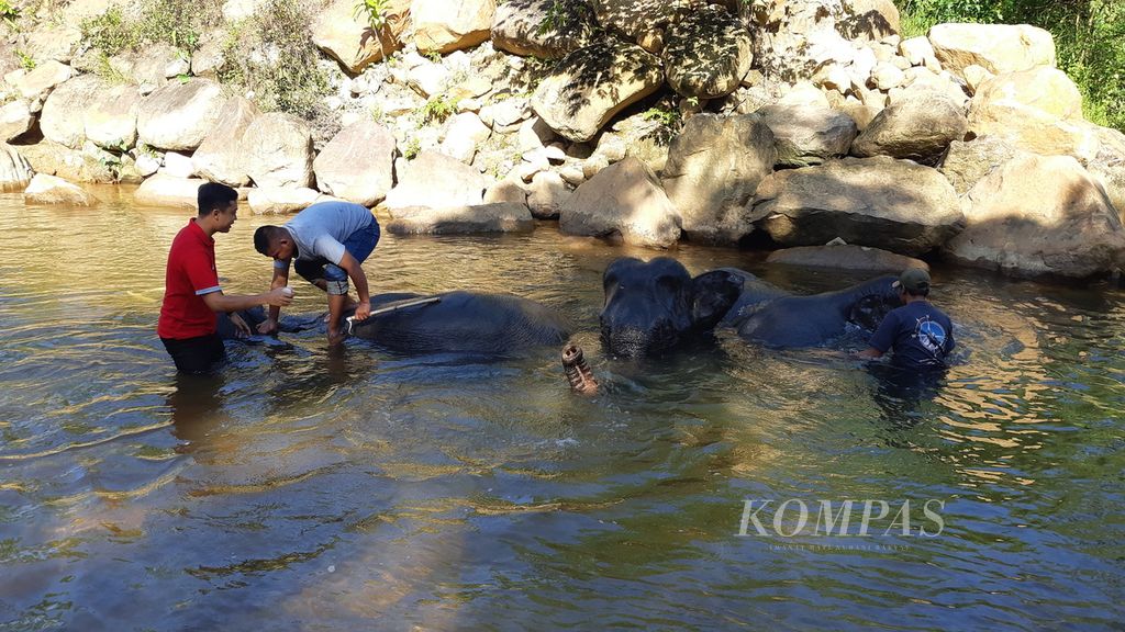 https://assetd.kompas.id/b1yprjt7fsKdIzNPz7mat1ZWjXM=/1024x576/filters:watermark(https://cdn-content.kompas.id/umum/kompas_main_logo.png,-16p,-13p,0)/https%3A%2F%2Fkompas.id%2Fwp-content%2Fuploads%2F2020%2F01%2F36223254-bbbc-4319-b843-bc83a2bf318d_jpg.jpg