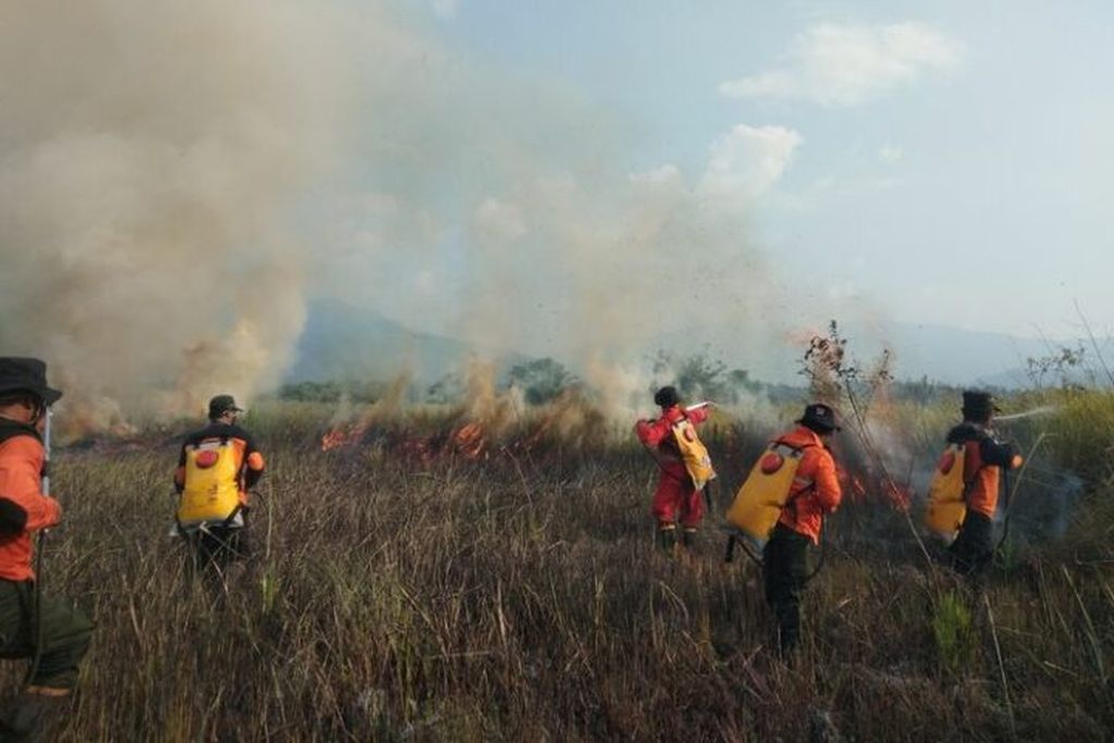 https://assetd.kompas.id/b4PHh1DP0Uf2P8q8pT7fW2ZUNTE=/1024x683/https%3A%2F%2Ftaja.kompas.id%2Fwp-content%2Fuploads%2F2025%2F09%2FKemenhut-4-720x480.jpg