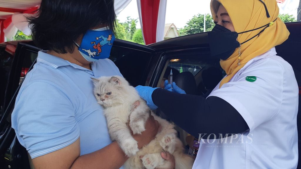 https://assetd.kompas.id/b7va0xvf161lbLsC_rmsk0EkBdM=/1024x576/filters:watermark(https://cdn-content.kompas.id/umum/kompas_main_logo.png,-16p,-13p,0)/https%3A%2F%2Fkompas.id%2Fwp-content%2Fuploads%2F2021%2F10%2F20211008_111645_1633669706.jpg