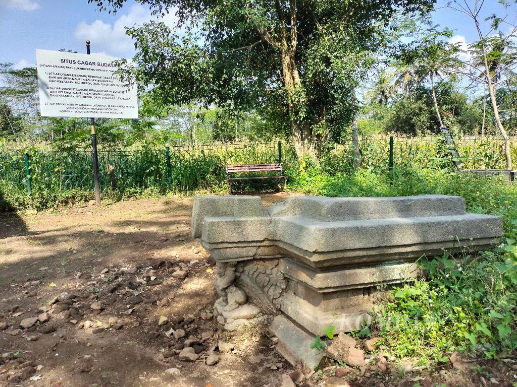 Situs Plandi akan dikembangkan sebagai destinasi wisata baru pendamping Candi Borobudur. Lokasi sekitar situs ini nantinya akan dikembangkan sehingga menjadi destinasi yang dapat dikunjungi tanpa kontak langsung dengan wisatawan.
