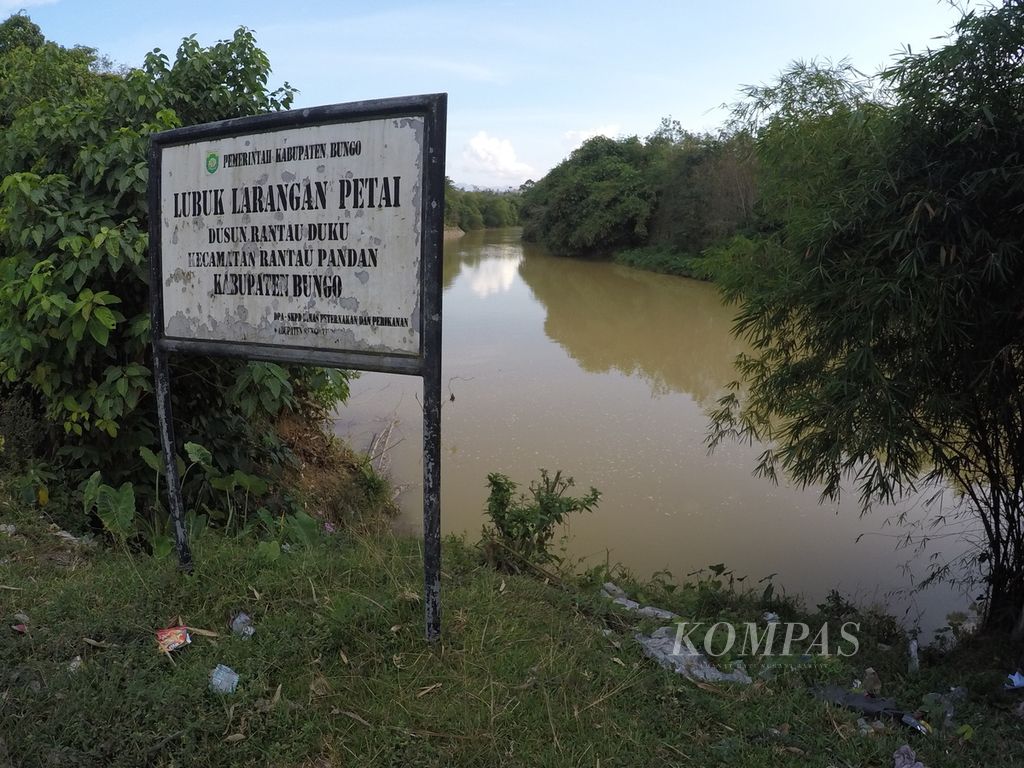 Kondisi Lubuk Larangan rusak akibat masifnya tambang liar emas di ekosistem Batang Bungo di Kabupaten Bungo, Provinsi Jambi, Minggu (5/7/2020). Perlu penegakkan hukum yang serius demi mengakhiri kerusakan lingkungan yang timbul akibat masifnya aktivitas ini.