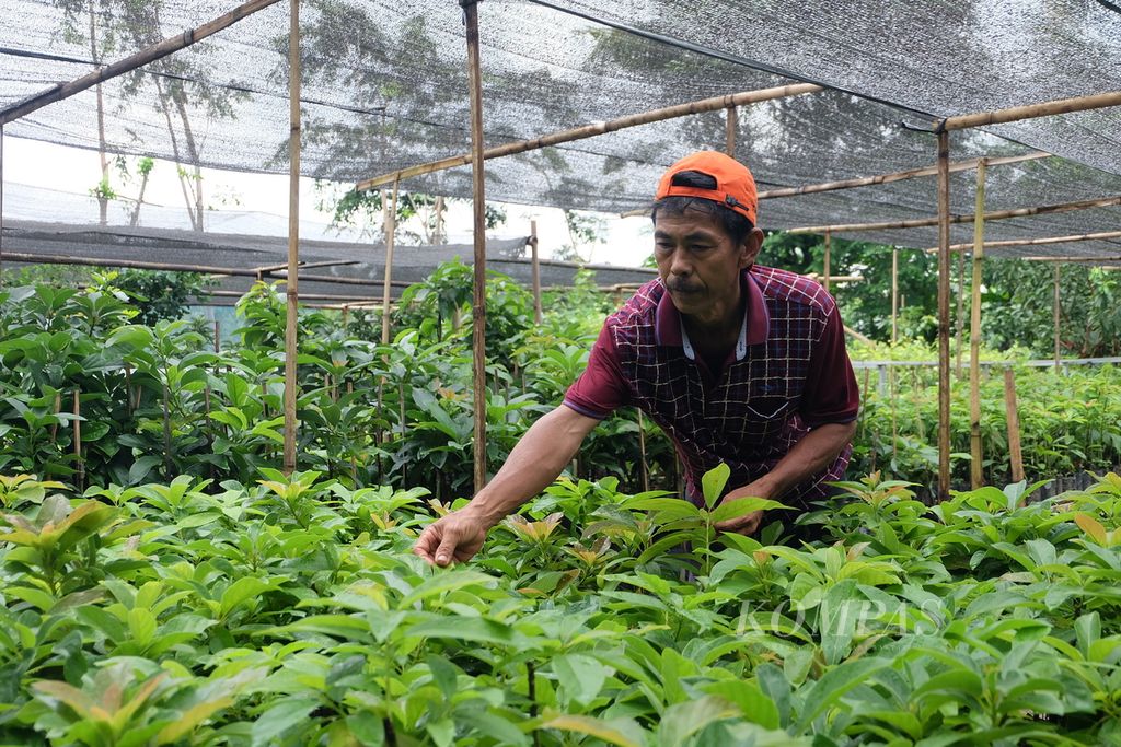 https://assetd.kompas.id/blDb-k-RhSRwIaLnNszX-O78dzs=/1024x683/filters:watermark(https://cdn-content.kompas.id/umum/kompas_main_logo.png,-16p,-13p,0)/https%3A%2F%2Fkompas.id%2Fwp-content%2Fuploads%2F2021%2F02%2F8ce0722b-26a4-4017-8493-2fc581eaad18_jpg.jpg