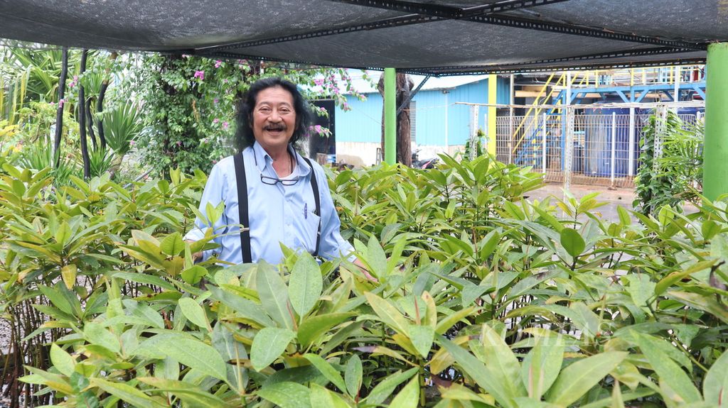 Kepala Divisi Bogasari Franciscus Welirang di rumah pembibitan PT Indofood Sukses Makmur Tbk Divisi Bogasari di Jakarta Utara, Jumat (24/2/2023).