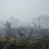 Kabut Asap Mulai Berdampak pada Penerbangan Meski Belum Signifikan