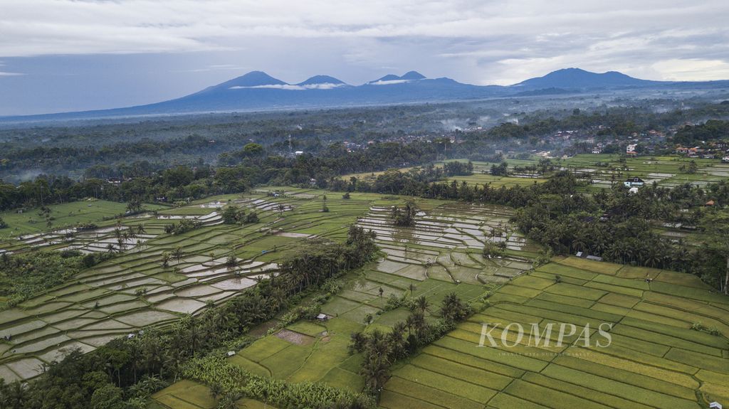 Bentang alam Ubud