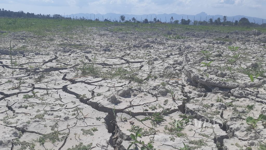 https://assetd.kompas.id/d0l_TPuNWyWnJ_UYcAzxyQVQJAc=/1024x576/filters:watermark(https://cdn-content.kompas.id/umum/kompas_main_logo.png,-16p,-13p,0)/https%3A%2F%2Fkompas.id%2Fwp-content%2Fuploads%2F2021%2F06%2F27390828-e64d-4c0c-a3c6-7c72abee28ff_jpg.jpg