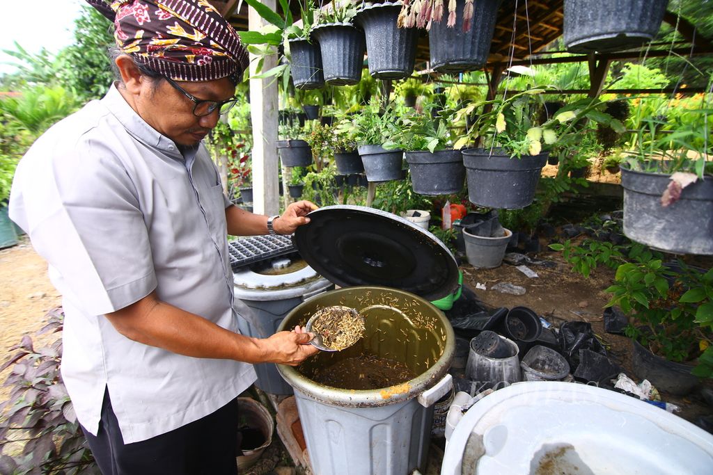 Rm Tiburtius Catur Wibawa Pr menunjukkan maggot (belatung) <i>black soldier fly</i> (lalat tentara hitam) yang ia kembangkan untuk mengurai sampah organik di Griya Ekologi Kelir, Banyuwangi, Kamis (19/11/2020). Selain untuk mengurai sampah, maggot juga dapat dijadikan pakan untuk ternak ayam ataupun ikan lele sehingga mengurangi pengeluaran para peternak.