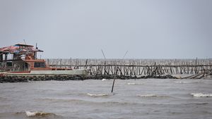 Detention of Four Suspects in Tangerang Sea Fence Case Suspended, Case Files Suspended