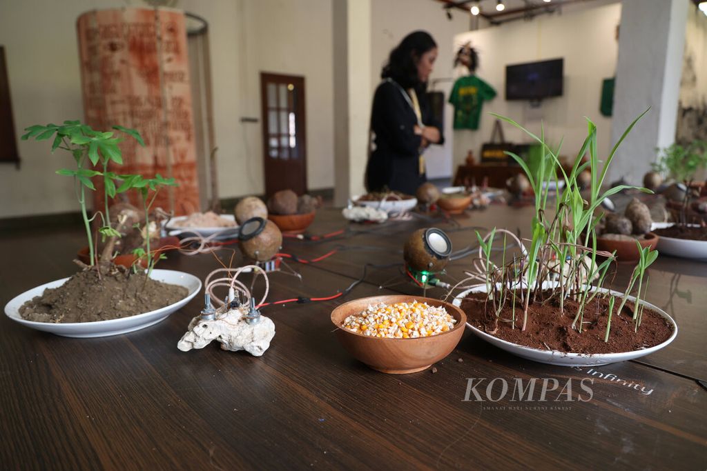 Sebuah karya berjudul Dengung Lohjinawi dengan piring berisi sumber pangan berupa jagung dan umbi-umbian yang tumbuh berjajar di atas meja menjadi bagian dari pameran di Gedung Monod Diephuis, Kota Lama, Kota Semarang, Jawa Tengah, Rabu (6/8/2025). Pada kuratorial pameran tersebut merupakan representasi ketahanan dan kepenyintasan personal maupun komunal dari tekanan kultural pada masing-masing ekosistem kota. 