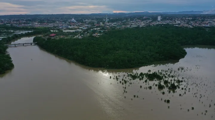 Teluku untuk artikel Memoles Wajah Kritis Mangrove di Teluk Kendari