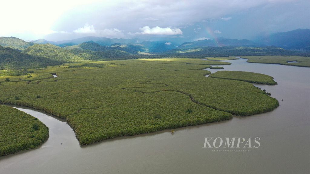 Hamparan hutan mangrove atau mangi-mangi di Teluk Arguni, Kabupaten Kaimana, Papua Barat, Selasa (15/6/2021). Mangi-mangi menjadi habibat hidup karaka, sebutan masyarakat setempat untuk kepiting. Untuk mencari karaka, warga mendirikan gubuk di sekitar hutan bakau. Pencarian karaka berlangsung berhari-hari.  