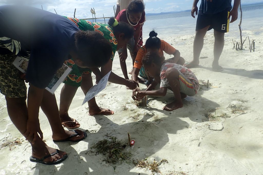 Kelompok Andoi memantau pertumbuhan tanaman lamun di pesisir pantai Pulau Batanta, Raja Ampat, Papua Barat.