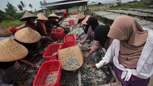 Perempuan Pesisir, Wajah dan Masa Depan Laut Kita