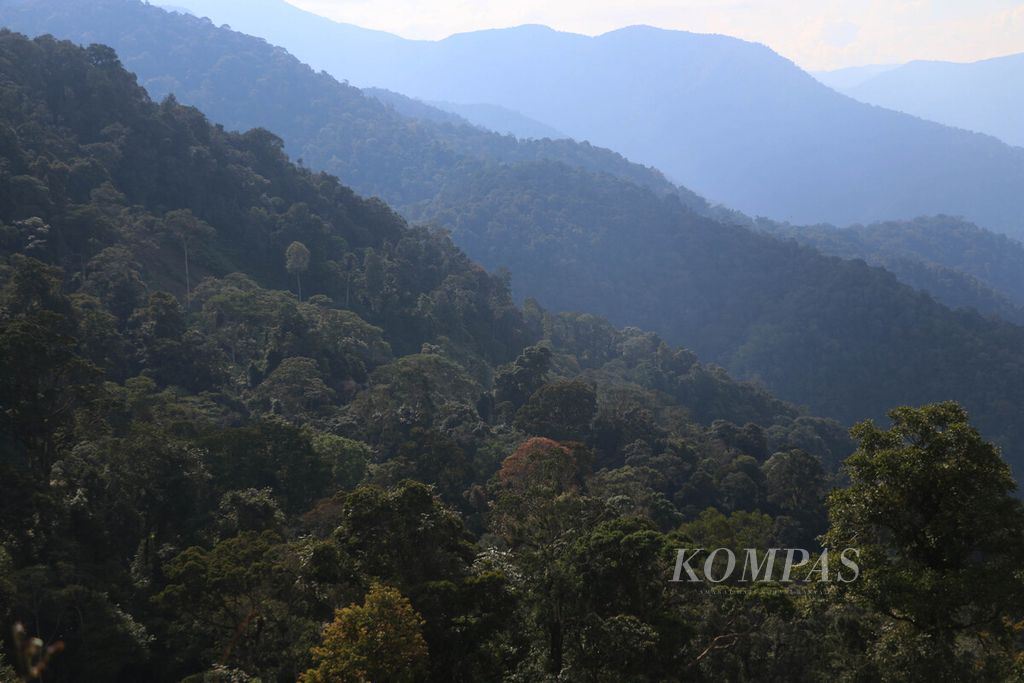 Tutupan hutan di Kawasan Ekosistem Leuser di Kabupaten Gayo Lues, Aceh, tahun 2018. Leuser merupakan penyangga bagi dunia penghasil karbon, penyedia air, dan habitat satwa.