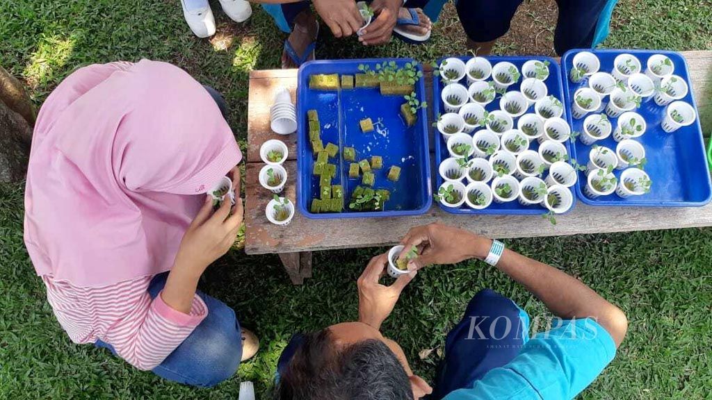 https://assetd.kompas.id/gBHoO3i4sIk5430hEswfMlPy424=/1024x576/filters:watermark(https://cdn-content.kompas.id/umum/kompas_main_logo.png,-16p,-13p,0)/https%3A%2F%2Fkompas.id%2Fwp-content%2Fuploads%2F2019%2F10%2F20191008_ENGLISH-TEMATIK-ODGJ_D_web_1570543320.jpg