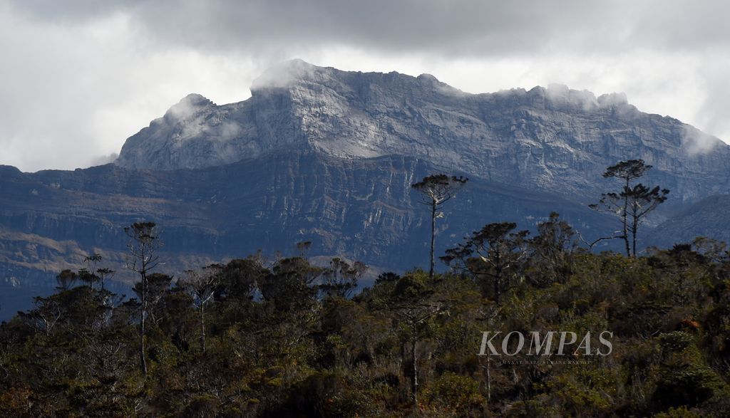 Foto ilustrasi. Puncak trikora di kawasan Taman Nasional Lorentz, Kabupaten Jayawijaya, 13 November 2021. 