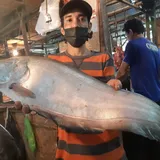Kenikmatan Belida Si Ikan ”Sultan” Itu Hanya Tinggal Kenangan