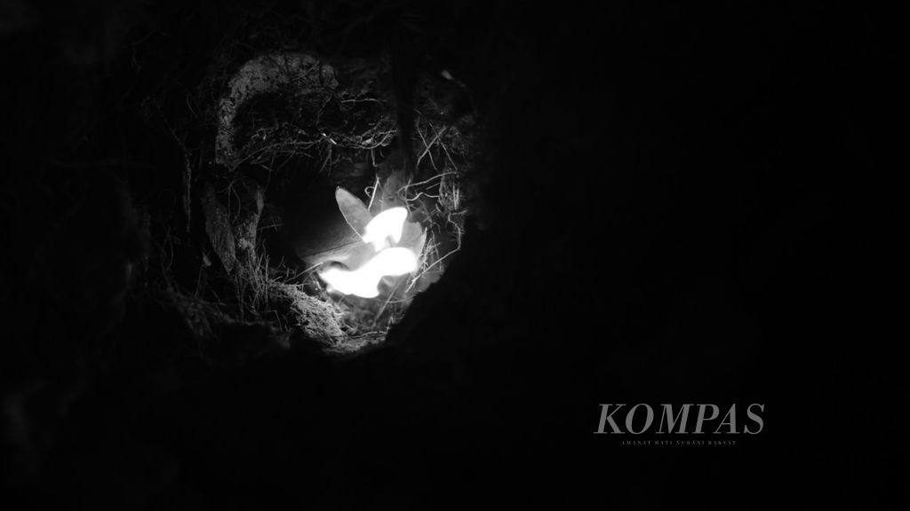 https://assetd.kompas.id/gwdGYT3hIuTkwdAwTeIZmMgEdfE=/1024x576/filters:watermark(https://cdn-content.kompas.id/umum/kompas_main_logo.png,-16p,-13p,0)/https%3A%2F%2Fkompas.id%2Fwp-content%2Fuploads%2F2020%2F08%2Ff37176de-ff34-4177-b235-de3fd631d35f_jpg.jpg