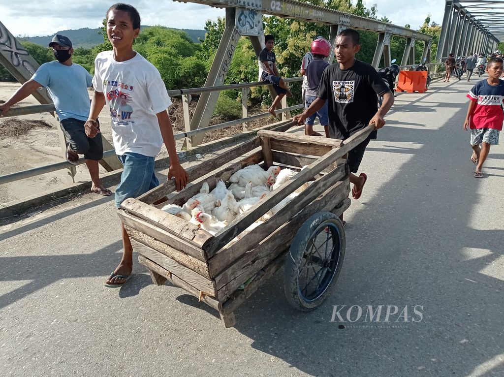 Sambil mendorong gerobak, warga nekat menyeberangi Jembatan Benenai di Kabupaten Malaka, Nusa Tenggara Timur, yang nyaris ambruk, seperti tampak pada Selasa (20/4/2021). Jembatan itu diterjang derasnya air Sungai Benenai pada saat bencana yang dipicu siklon tropis Seroja.