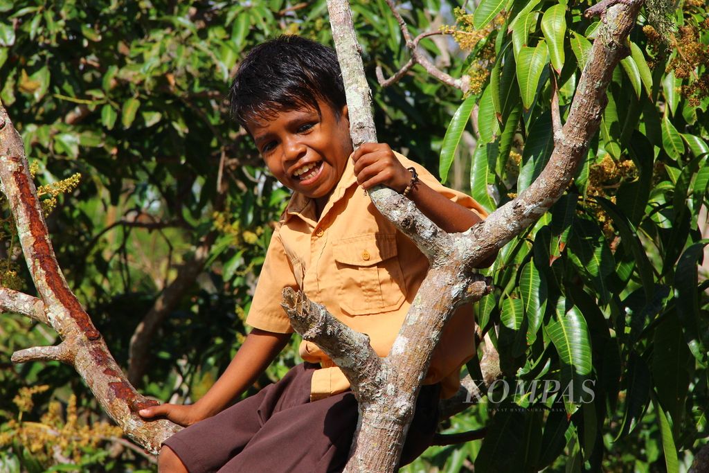 https://assetd.kompas.id/hRdQ9C8rDqG6VwX14cyuGfaYKvU=/1024x683/filters:watermark(https://cdn-content.kompas.id/umum/kompas_main_logo.png,-16p,-13p,0)/https%3A%2F%2Fkompas.id%2Fwp-content%2Fuploads%2F2021%2F08%2F03027dcf-3b19-4539-881e-01bc30fc253e_JPG.jpg