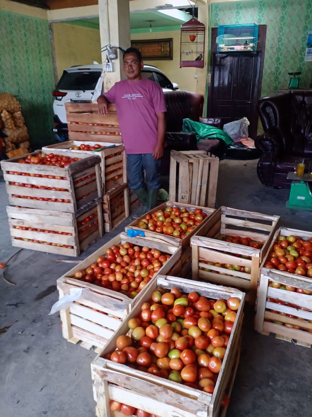 Pedagang saat berada di temat penampungan tomat di Kabupaten Bener Meriah, Aceh, Senin (26/9/2022). Panen yang melimpah membuat tomat tidak terserap pasar sehingga harga anjlok.