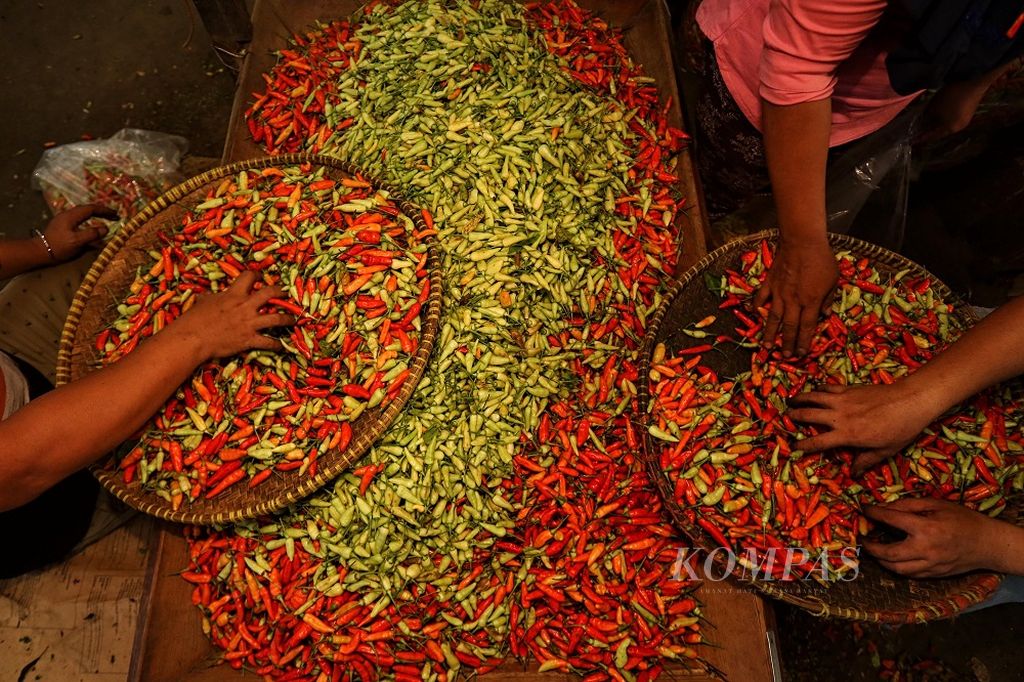 Pedagang menyortir cabe rawit merah di Pasar Induk Kramatjati, Jakarta Timur, Senin (28/3/2022). Berdasarkan situs sistem pemantauan pasar dan kebutuhan pokok Kemendag, harga rata-rata cabe rawit merah di Jakarta hari ini adalah Rp 60.900 per kilogram. Harga cabe dan bahan pangan lain mulai mengalami kenaikan jelang Ramadhan.
