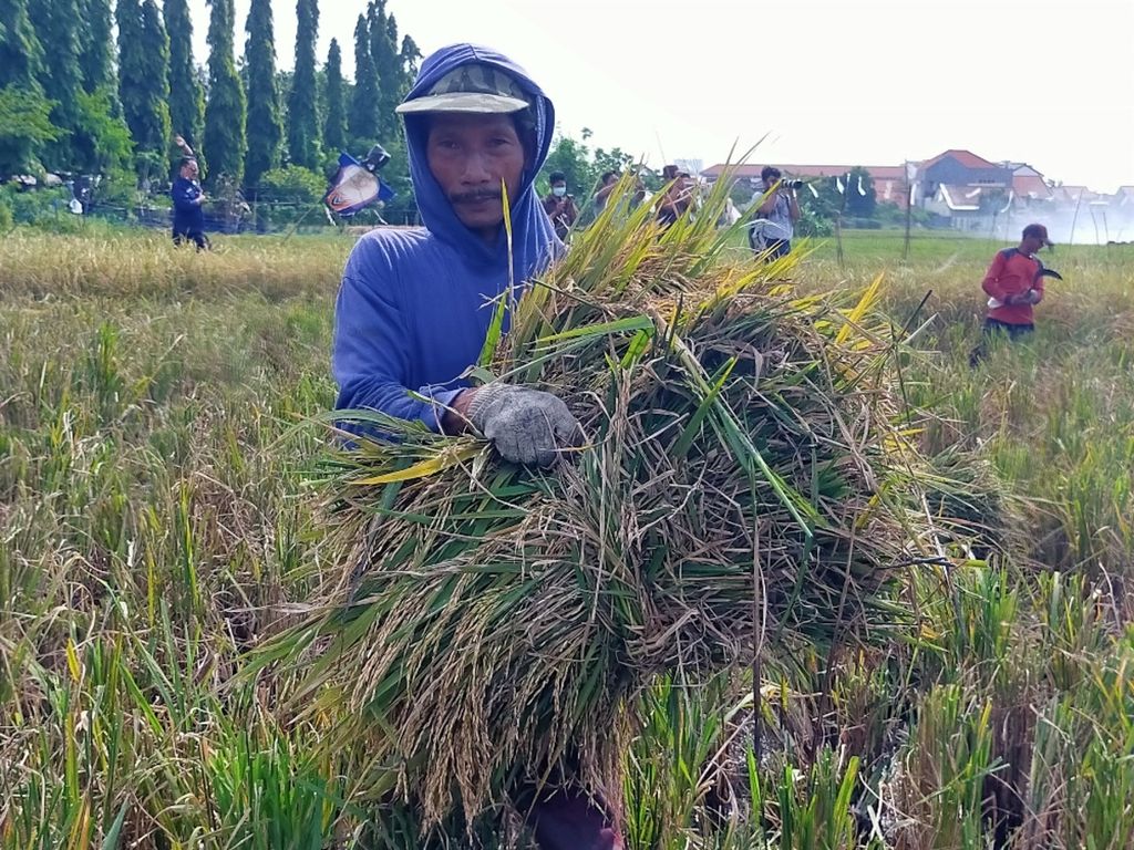 https://assetd.kompas.id/hldqeZs0EaDu6vk1rXrx44Y8l7w=/1024x768/https%3A%2F%2Fkompas.id%2Fwp-content%2Fuploads%2F2022%2F01%2F069df255-04e1-4a71-aeb6-0236277dfb2d_jpg.jpg