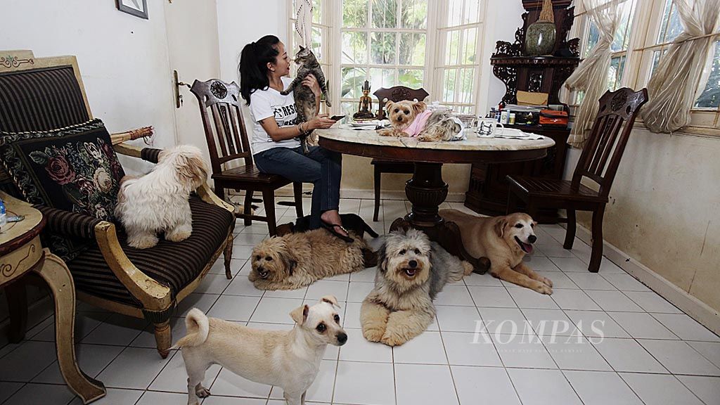 https://assetd.kompas.id/i6TKM1WEUEV7flz3ETzCqwRw4EA=/1024x576/filters:watermark(https://cdn-content.kompas.id/umum/kompas_main_logo.png,-16p,-13p,0)/https%3A%2F%2Fkompas.id%2Fwp-content%2Fuploads%2F2018%2F11%2F72849776_1542478264.jpg