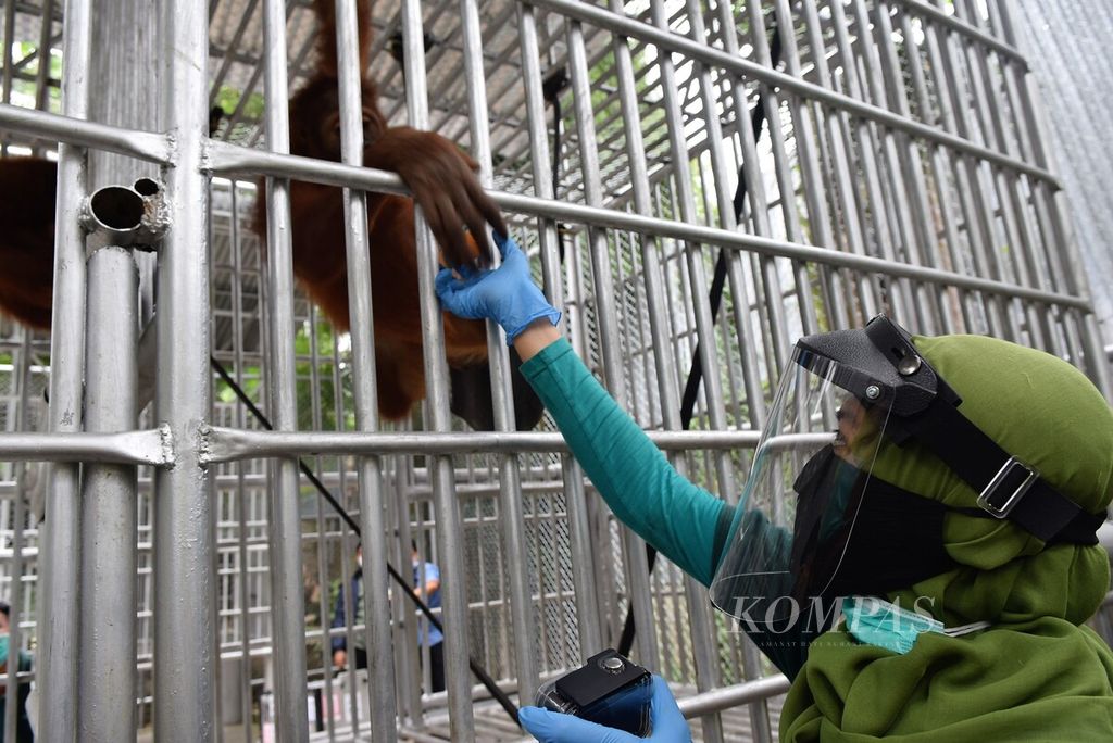 https://assetd.kompas.id/iDI_Dc9jZ-pVylzFMidRThXp-Z4=/1024x684/filters:watermark(https://cdn-content.kompas.id/umum/kompas_main_logo.png,-16p,-13p,0)/https%3A%2F%2Fkompas.id%2Fwp-content%2Fuploads%2F2020%2F12%2Fc63acc21-029d-4962-8874-d80ffb982bb2_jpg.jpg