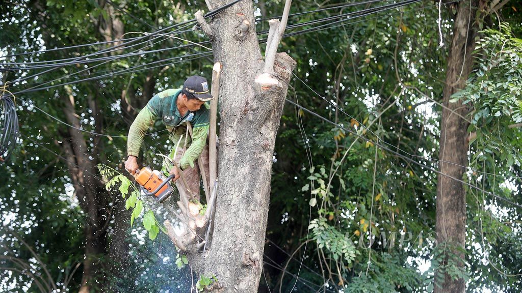 https://assetd.kompas.id/iLKSFyHH1YRWIZkhctHwgJ3-jeM=/1024x576/filters:watermark(https://cdn-content.kompas.id/umum/kompas_main_logo.png,-16p,-13p,0)/https%3A%2F%2Fkompas.id%2Fwp-content%2Fuploads%2F2019%2F04%2F20190303_ENGLISH-HUJAN_B_web_1551616913.jpg