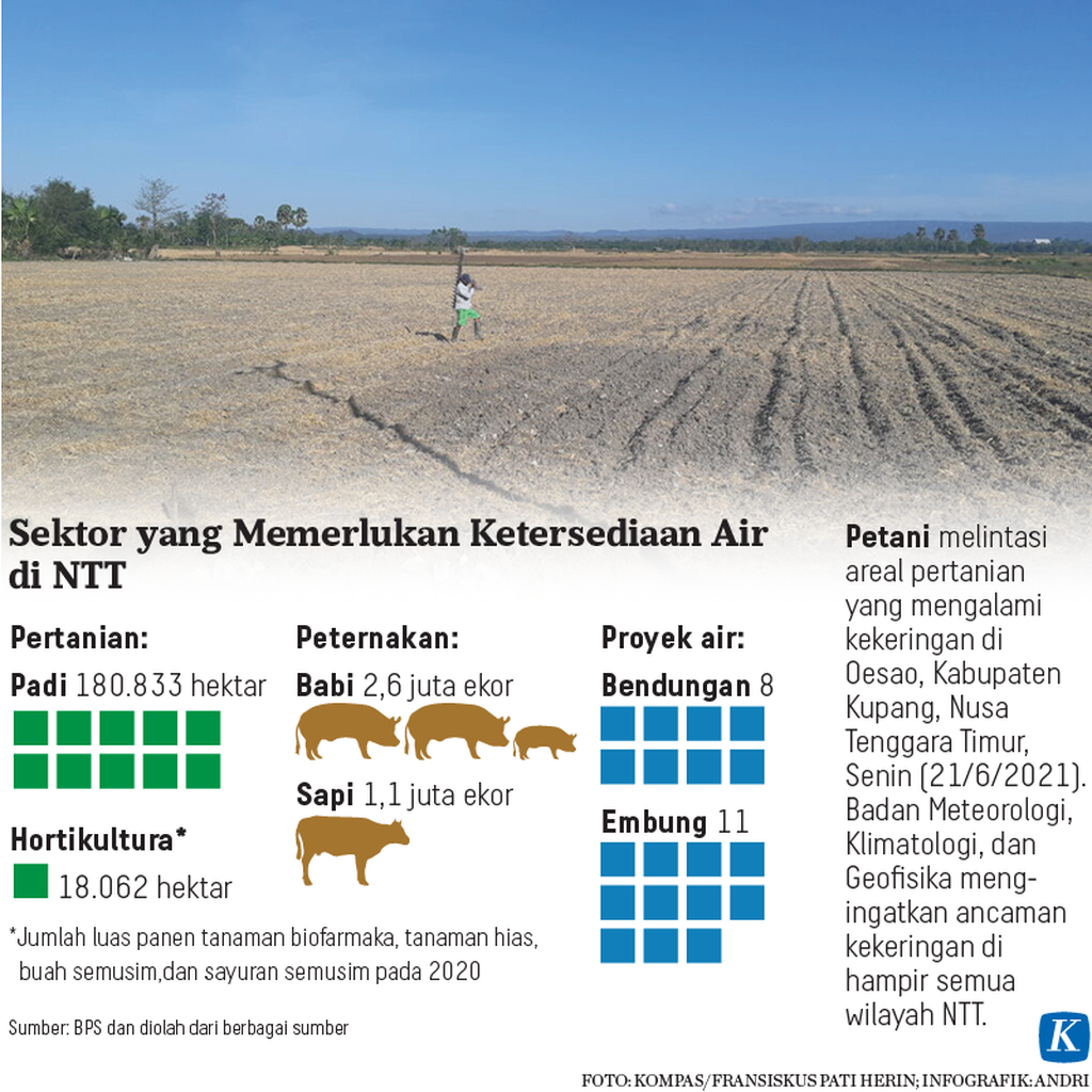 https://assetd.kompas.id/idgUAp4vhpkr9hmzQBnjbW9Twg4=/1024x1024/https%3A%2F%2Fkompas.id%2Fwp-content%2Fuploads%2F2021%2F09%2F20210905-H11-ARS-Kekeringan-NTT-mumed_1630858057.png