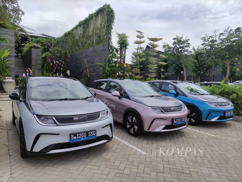Deretan Dolphin diparkir di sela Media Test Drive saat para pesertanya singgah di Bogor, Jawa Barat, Selasa (23/1/2024).