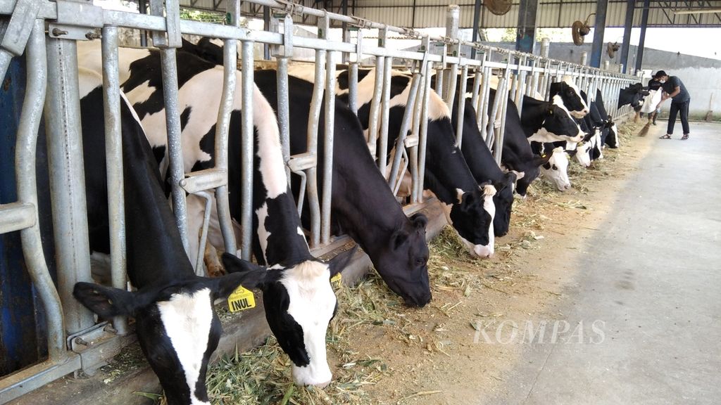 https://assetd.kompas.id/jEkmm_CNifiGrfmPOapH1SHIWl4=/1024x576/filters:watermark(https://cdn-content.kompas.id/umum/kompas_main_logo.png,-16p,-13p,0)/https%3A%2F%2Fkompas.id%2Fwp-content%2Fuploads%2F2021%2F04%2Ffeb509d7-39a1-44cb-bd3f-254356b484b6_jpg.jpg
