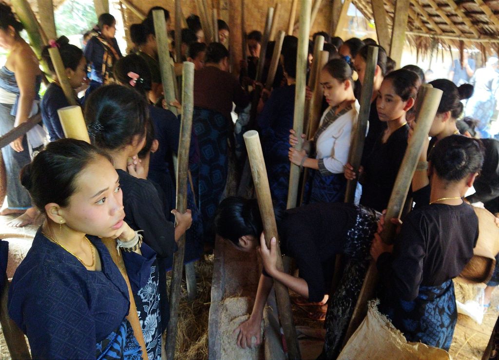 Women from various villages in Outer Baduy pound rice in a mortar or Rempugan Nutu, on Thursday (21/7/2022).