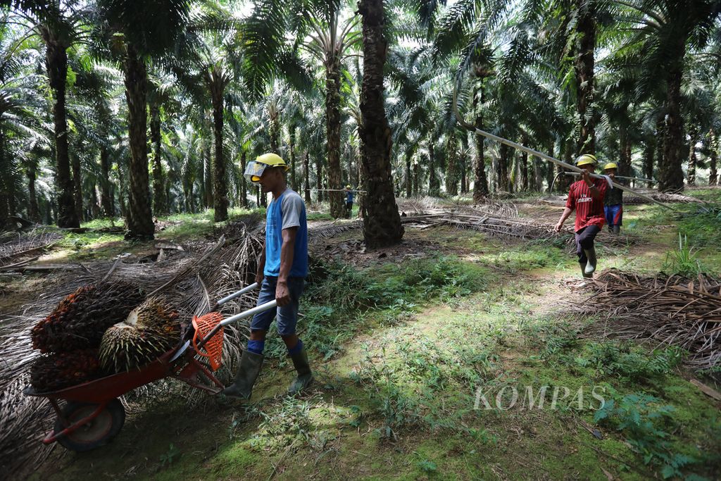 https://assetd.kompas.id/jsXMpdgvcxVeLUh2IHSSiVnKRuk=/1024x683/filters:watermark(https://cdn-content.kompas.id/umum/kompas_main_logo.png,-16p,-13p,0)/https%3A%2F%2Fkompas.id%2Fwp-content%2Fuploads%2F2021%2F04%2Ff2d2e05e-2ca0-4e0a-9c09-933fc1c3f22e_jpg.jpg
