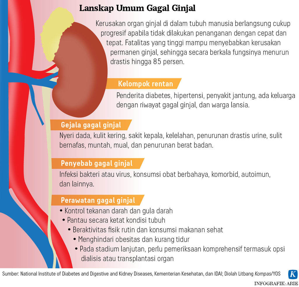 https://assetd.kompas.id/kaD1Yoh3y4ulR_BnQHKImPhGwKA=/1024x982/https%3A%2F%2Fasset.kgnewsroom.com%2Fphoto%2Fpre%2F2022%2F11%2F02%2F9f6ddbcb-ed41-4855-b7a6-adff7d10b71d_png.png