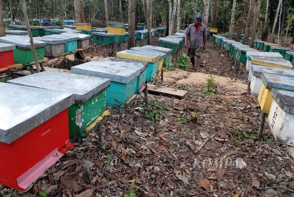 https://assetd.kompas.id/l1WIPWLoHJBF7v21ZPX_nyGL9Lg=/1024x688/filters:watermark(https://cdn-content.kompas.id/umum/kompas_main_logo.png,-16p,-13p,0)/https%3A%2F%2Fkompas.id%2Fwp-content%2Fuploads%2F2020%2F06%2Fb0911da9-fa2f-46b3-a5d6-d30ce8ba17af_jpg.jpg