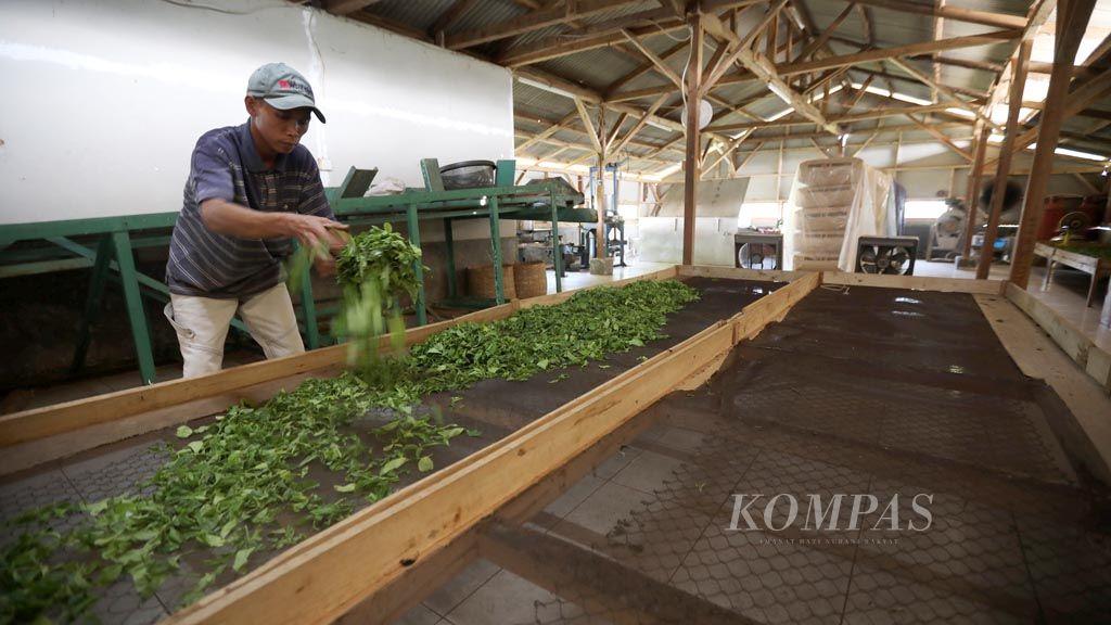 https://assetd.kompas.id/lQ4VjTCMLD3SjqbTL8Lo1QE3yjc=/1024x576/filters:watermark(https://cdn-content.kompas.id/umum/kompas_main_logo.png,-16p,-13p,0)/https%3A%2F%2Fkompas.id%2Fwp-content%2Fuploads%2F2020%2F02%2F20200203_ENGLISH-EKPEDISI-TEH_A_web_1580741667.jpg