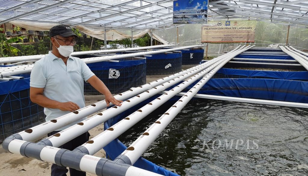 https://assetd.kompas.id/l_A7QrfGYo28HP8rASCk917No2s=/1024x585/filters:watermark(https://cdn-content.kompas.id/umum/kompas_main_logo.png,-16p,-13p,0)/https%3A%2F%2Fkompas.id%2Fwp-content%2Fuploads%2F2021%2F03%2F20210312cokc-geliat-kota-berkebun-menjaga-kesadaran-warga-denpasar_1615523969.jpg