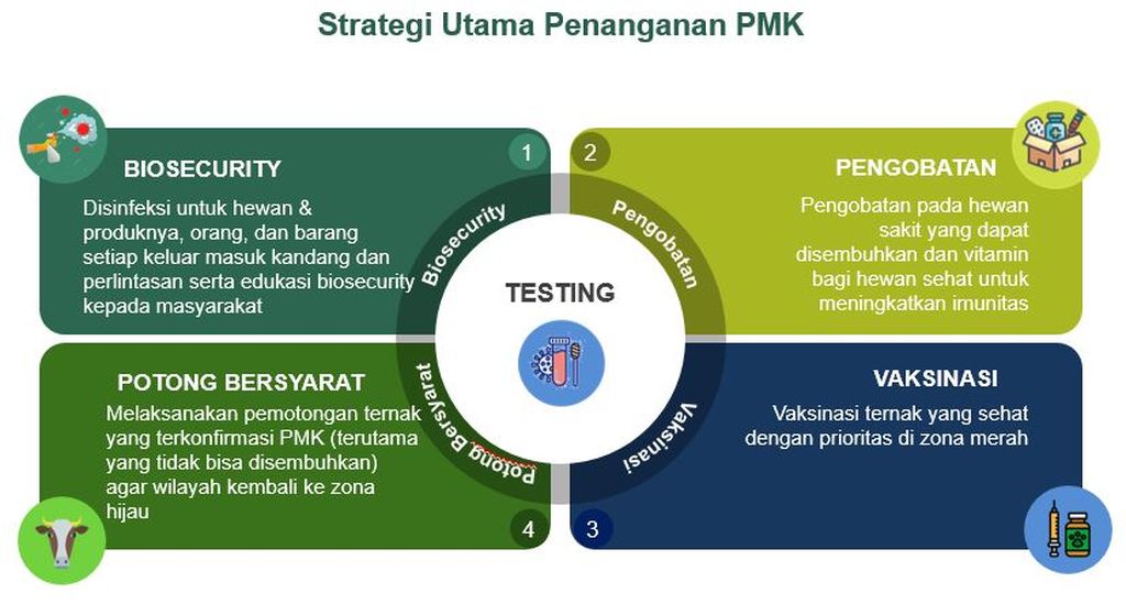 Grafis mengenai strategi penanganan penyakit mulut dan kuku yang disiapkan Badan Nasional Penanggulangan Bencana, Senin (29/8/2022). Foto tangkapan layar dari ruang pertemuan daring BNPB.
