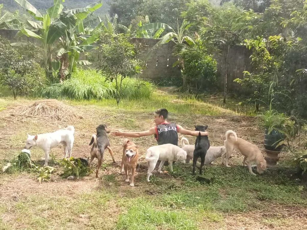 Lewi Prayogo mencurahkan kesetiaannya dalam merawat anjing-anjing jalanan dann anjing yang dipercayakan kepadanya.